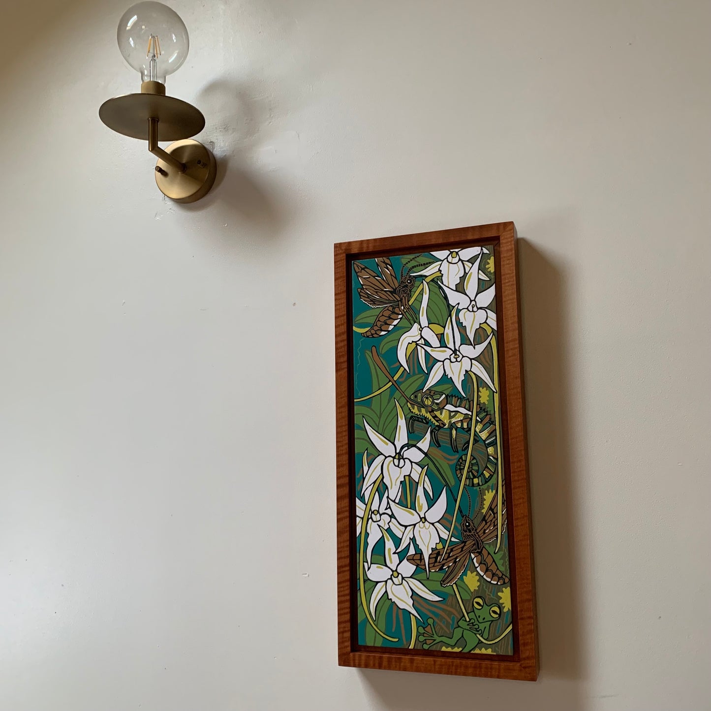 Pre order Darwins orchid woodcut framed in nutmeg natural curly maple