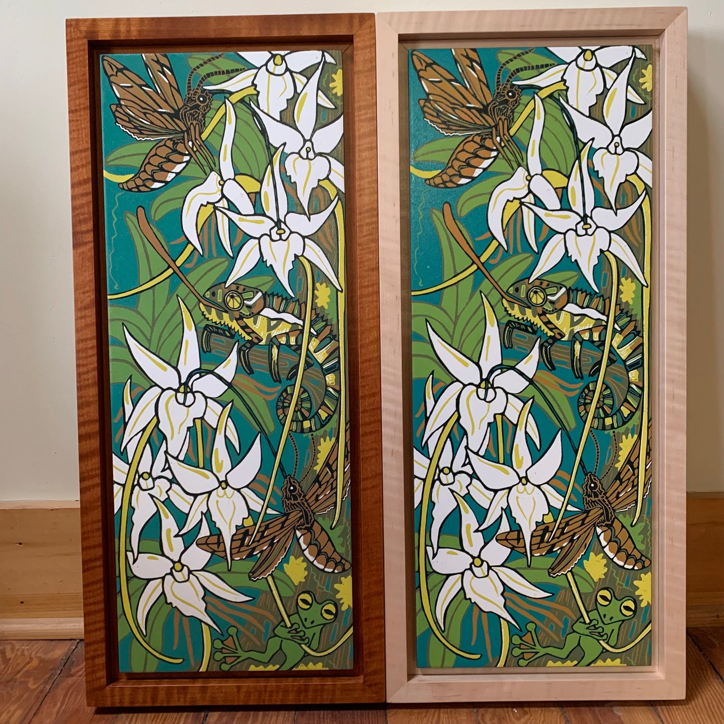 Pre order Darwins orchid woodcut framed in nutmeg natural curly maple