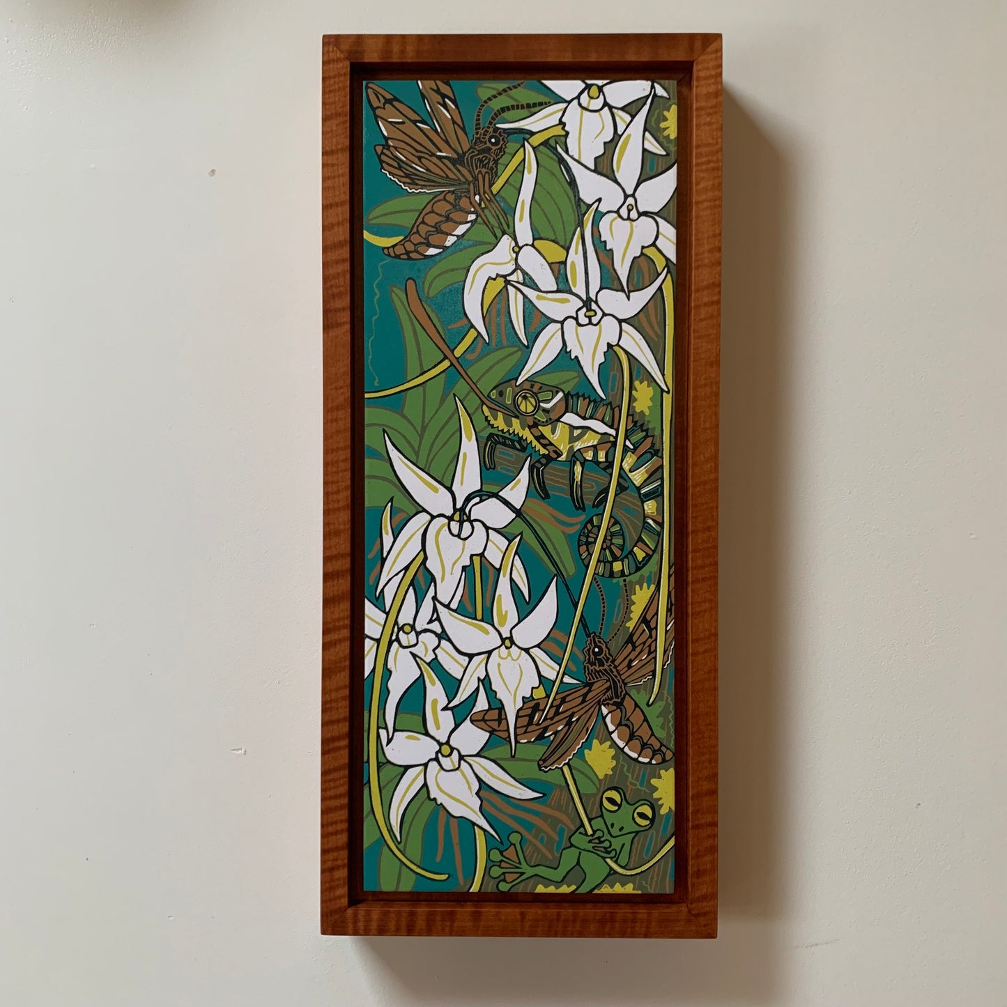 Pre order Darwins orchid woodcut framed in nutmeg natural curly maple