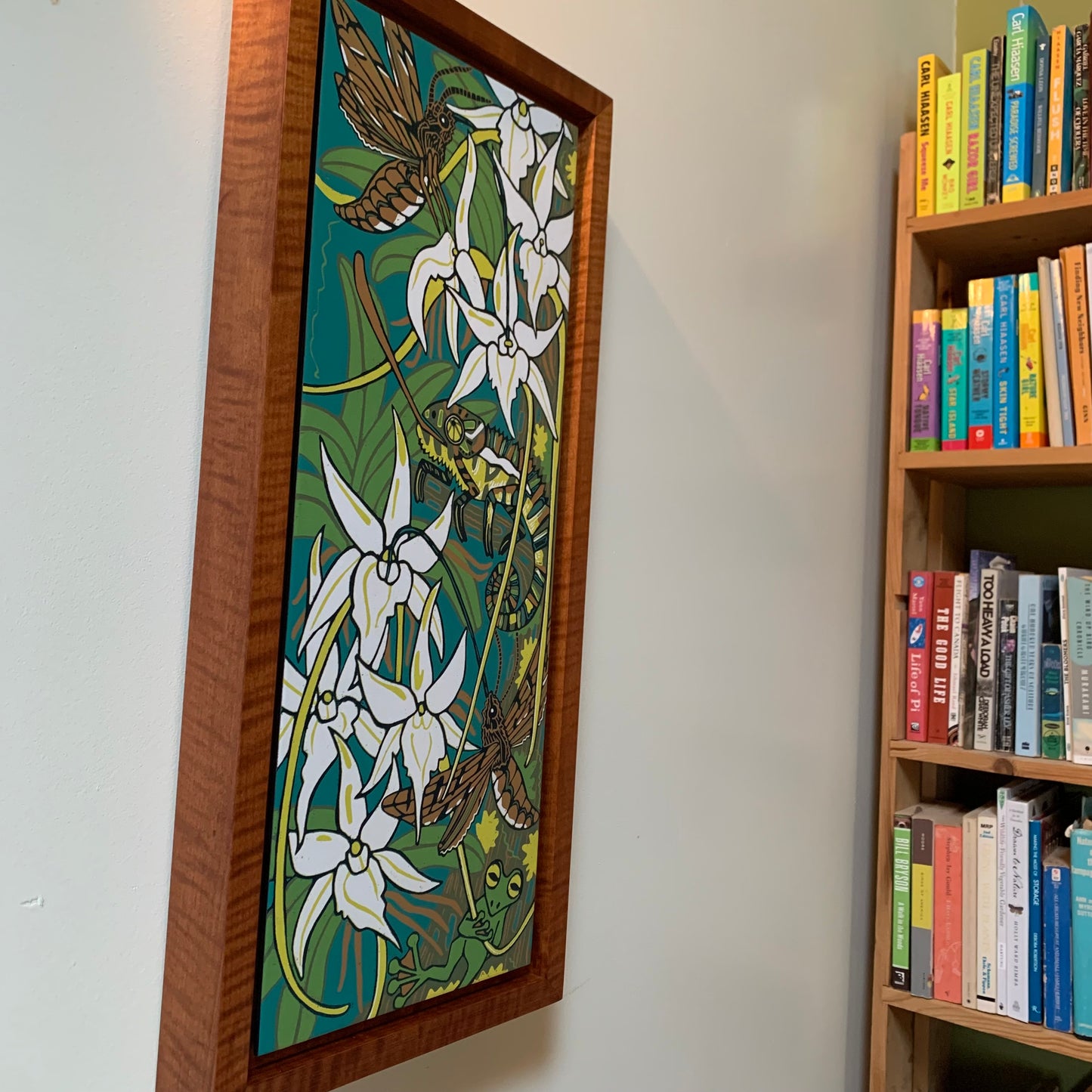 Pre order Darwins orchid woodcut framed in nutmeg natural curly maple