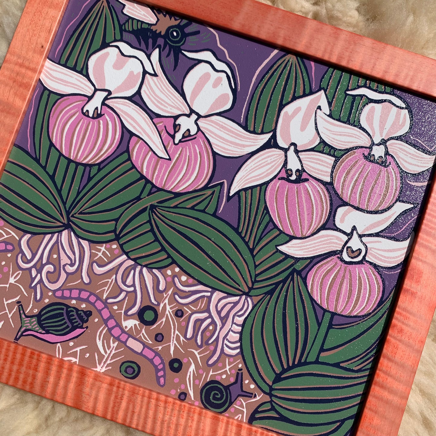 Slipper Orchid framed in pink