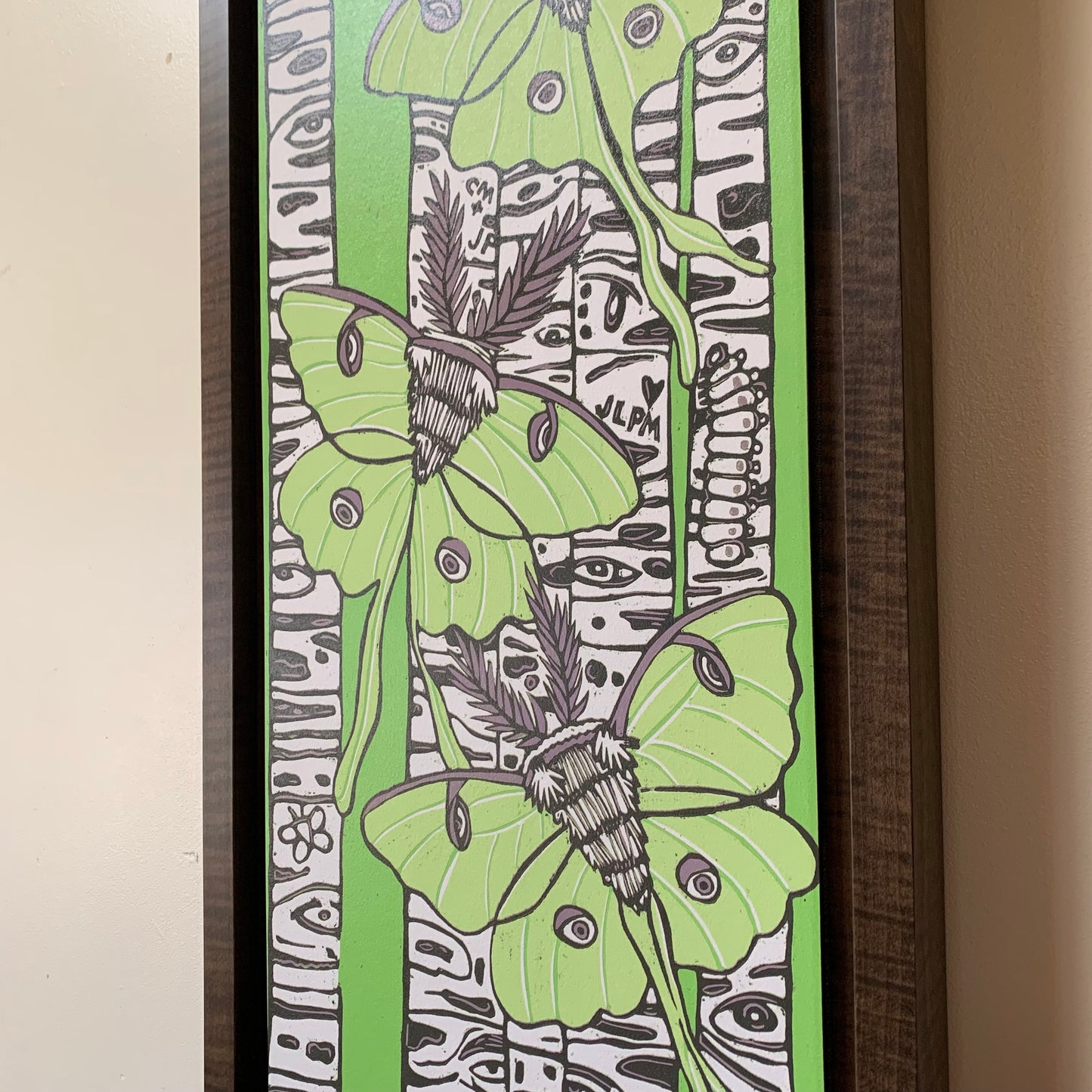 Pre-order Luna moth and birch tree woodcut framed in natural curly maple