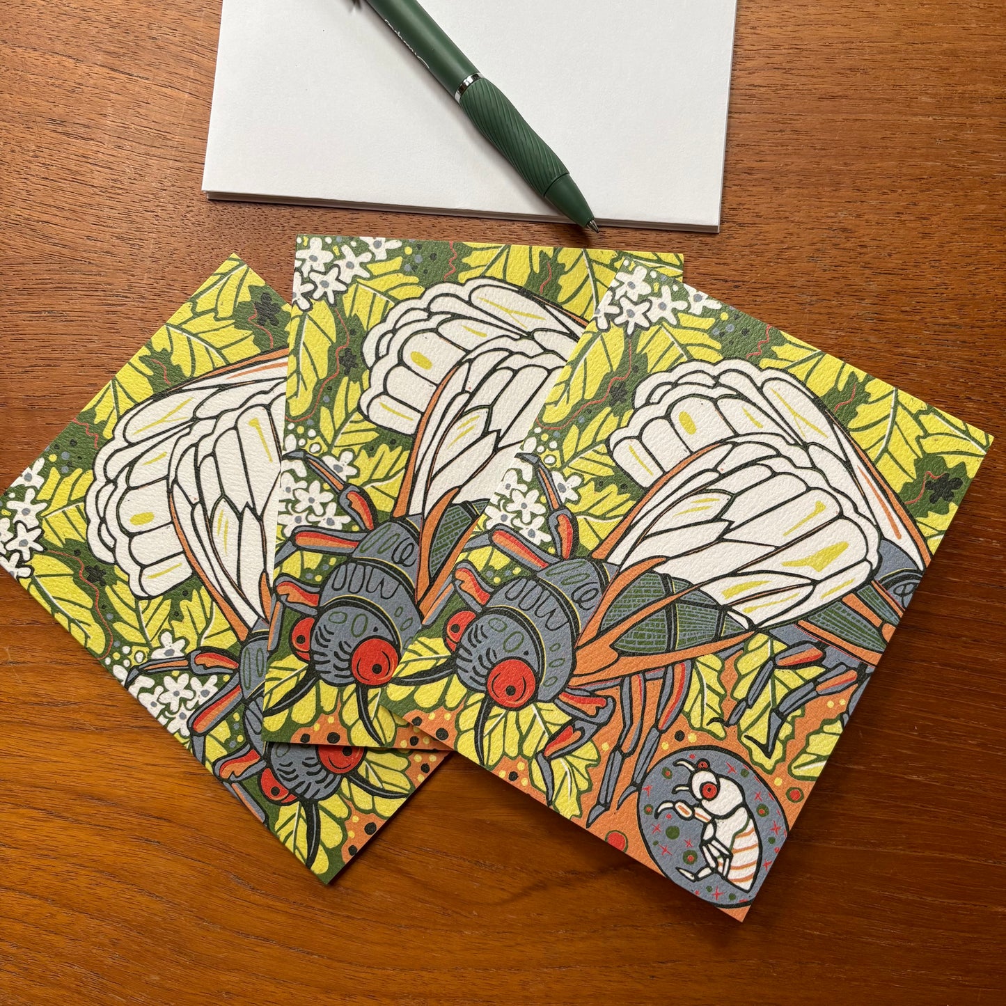 Cicada Card 3 pack