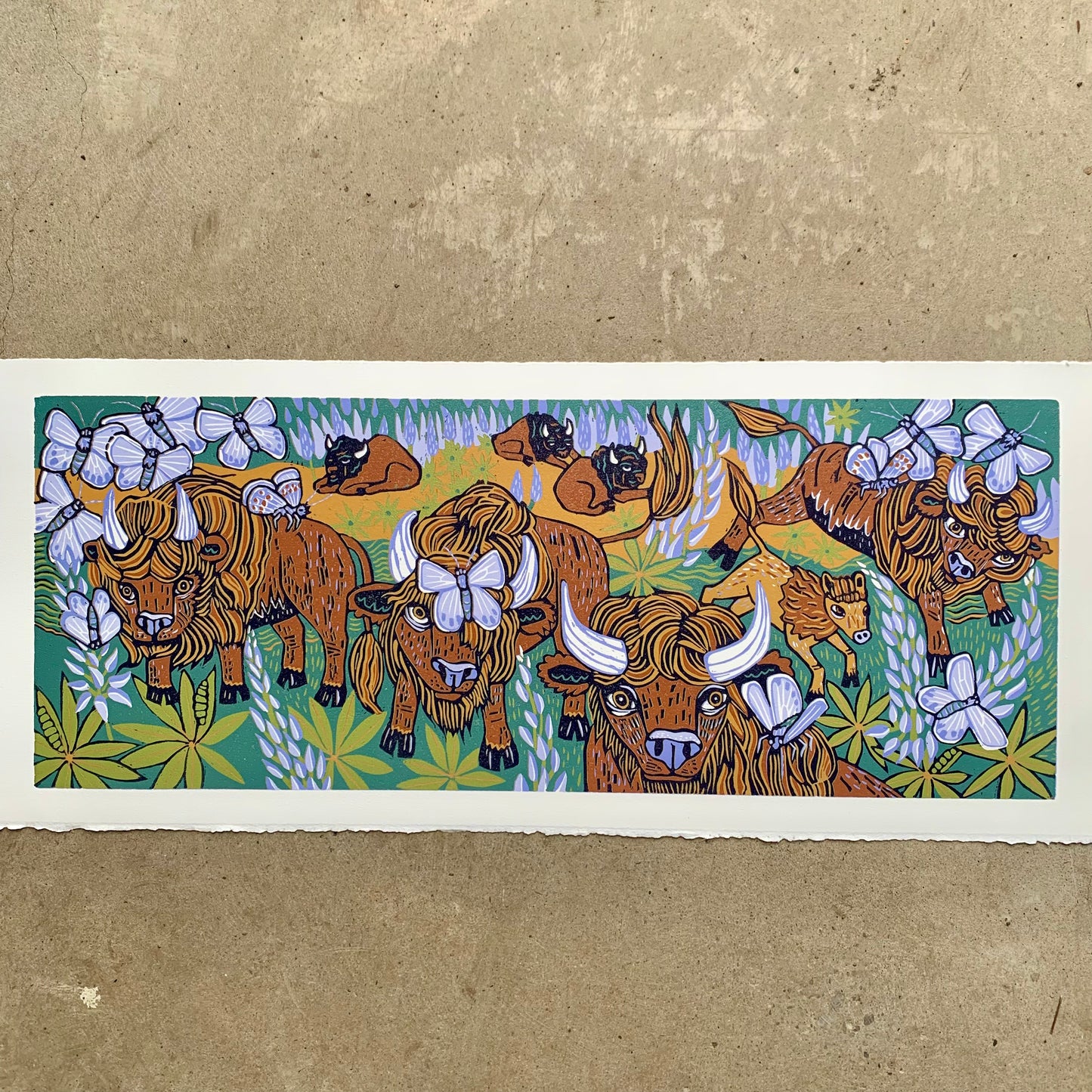 American Bison and Karner Blue Butterfly and Lupine orignal woodcut