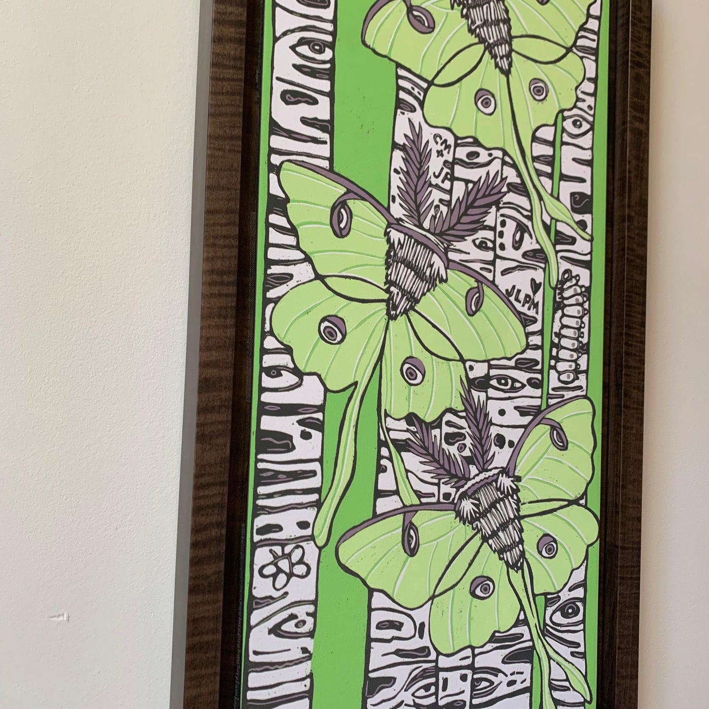Pre-order Luna moth and birch tree woodcut framed in natural curly maple