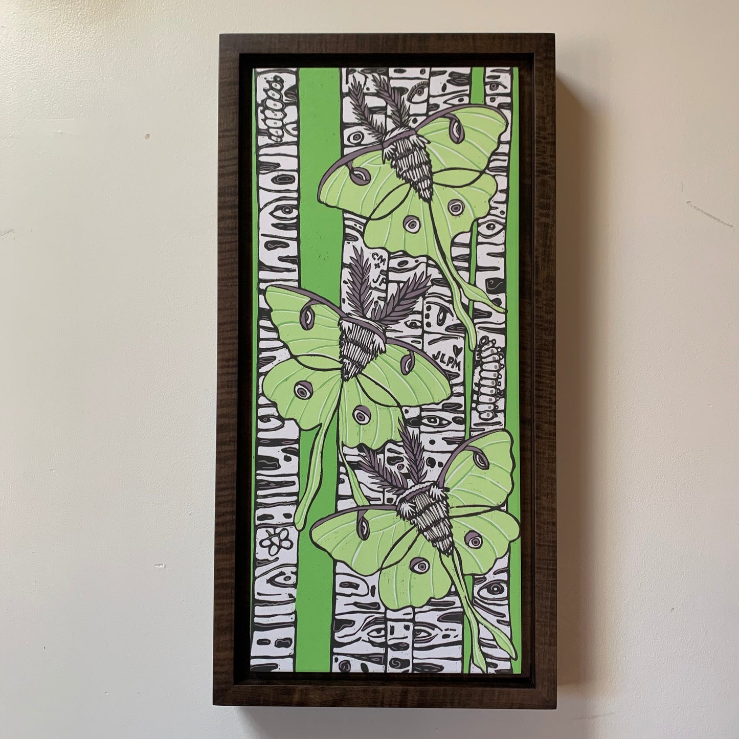 Pre-order Luna moth and birch tree woodcut framed in natural curly maple