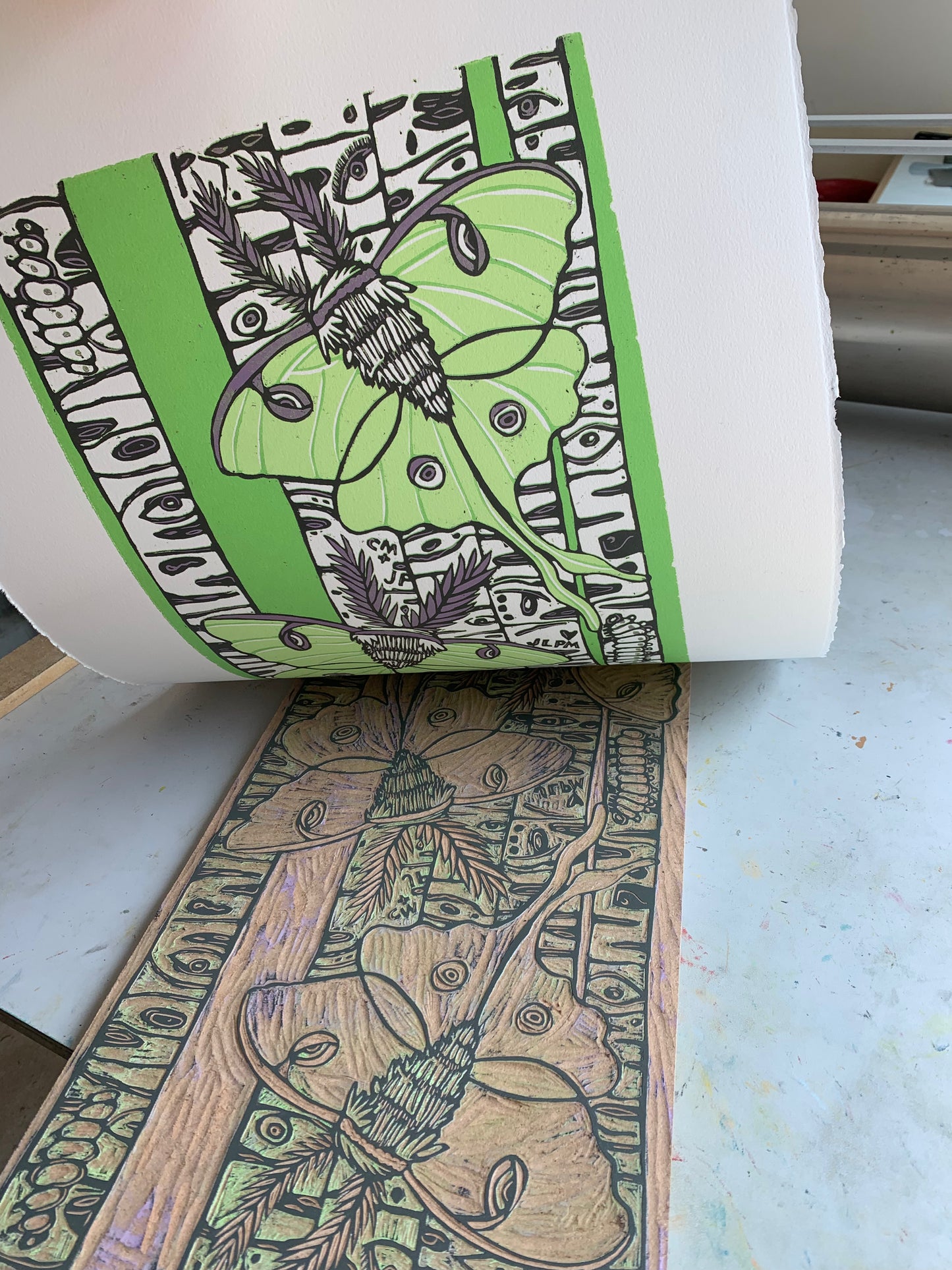 LAST ONE UNFRAMED Luna moth and birch tree woodcut