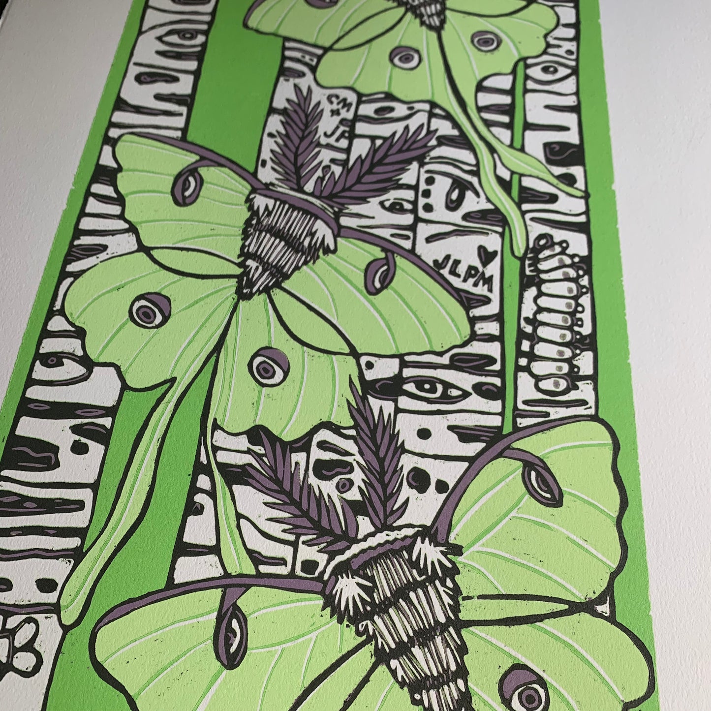 LAST ONE UNFRAMED Luna moth and birch tree woodcut
