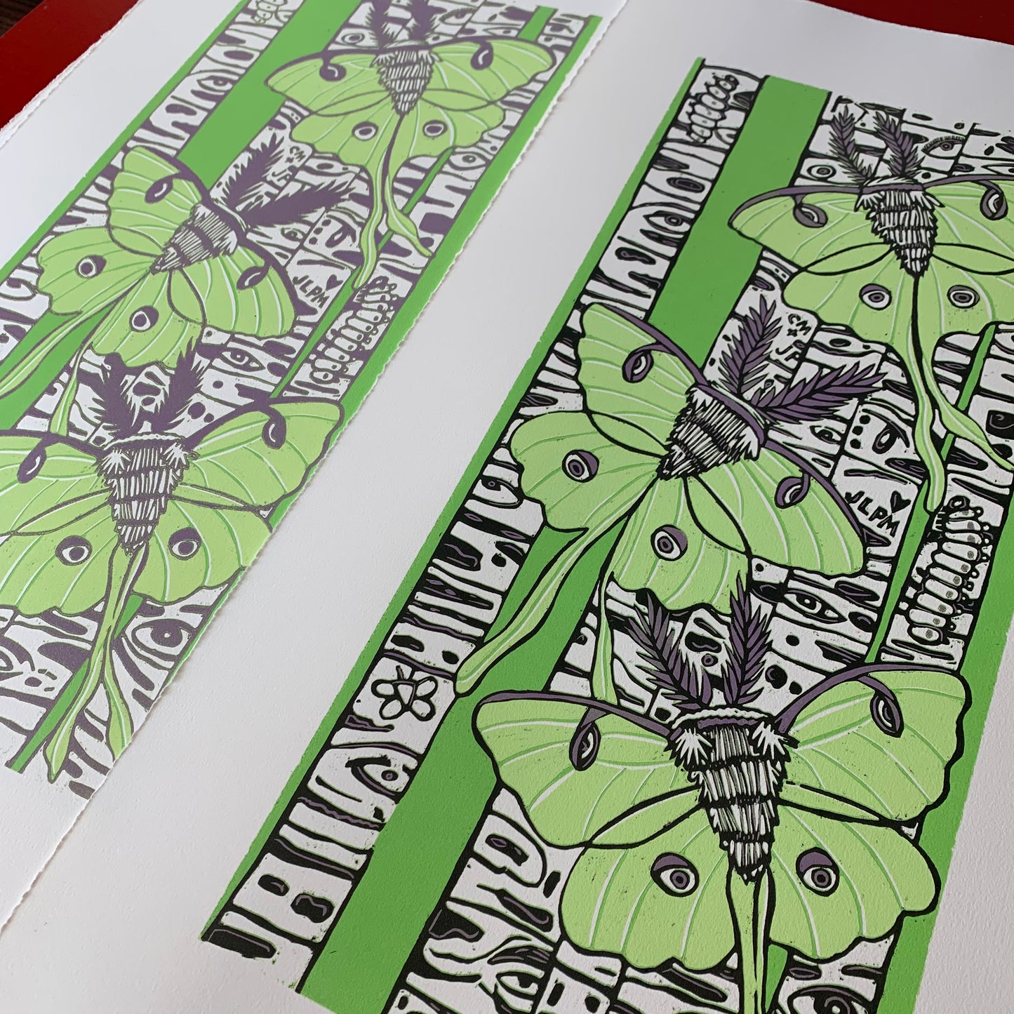 LAST ONE UNFRAMED Luna moth and birch tree woodcut