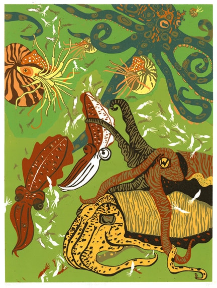 Cuttlefish, Squid and Nautilus Woodcut