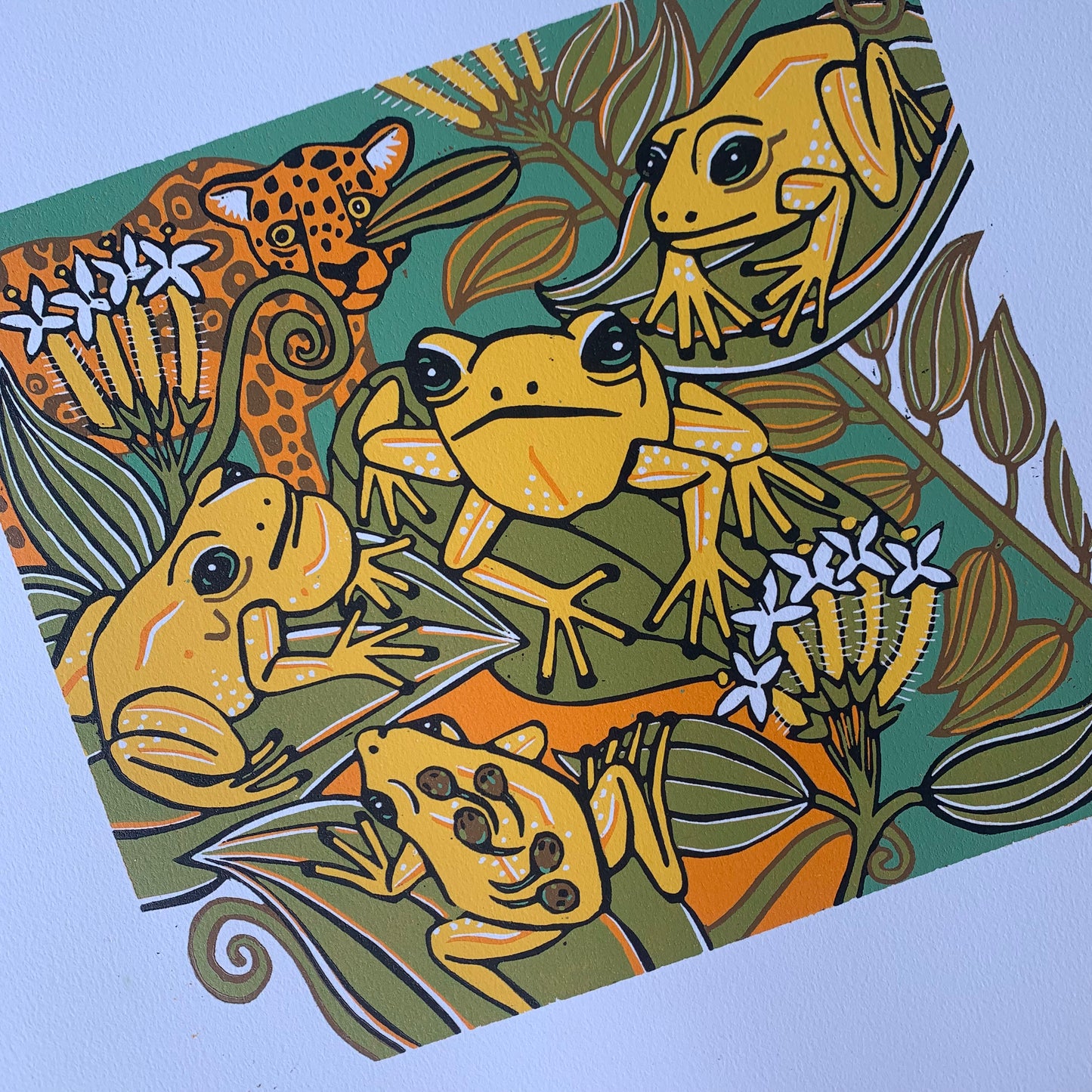 Phyllobates terribilis dart frog woodcut