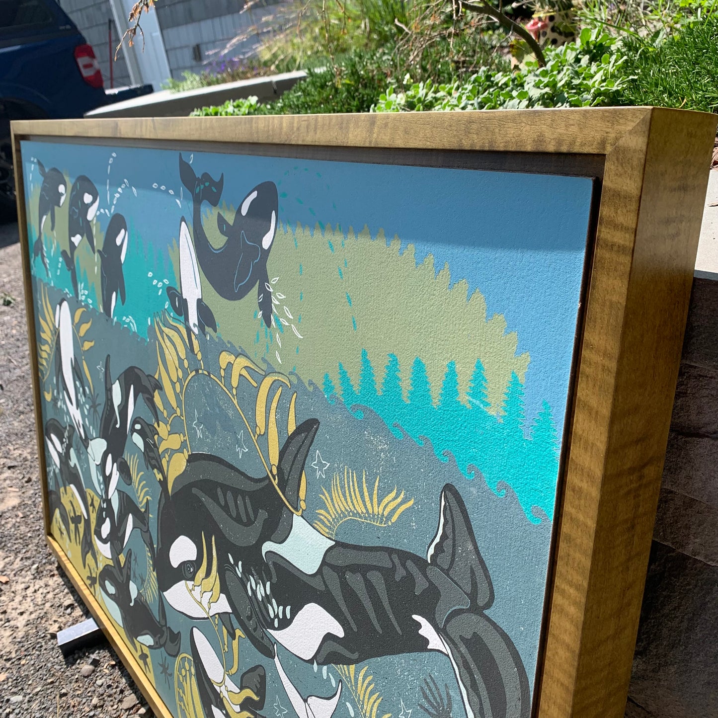 LAST ONE orca framed in olive