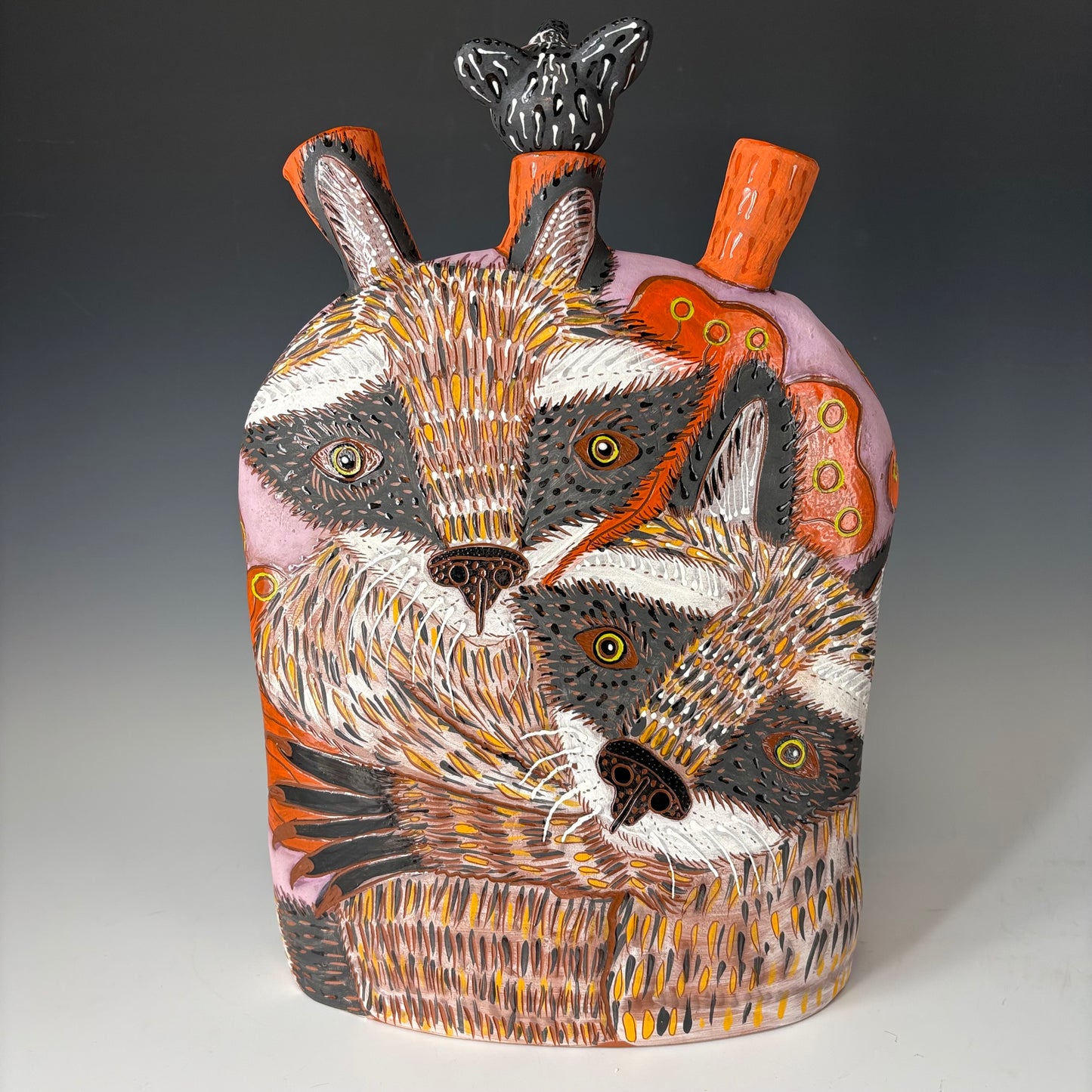 Raccoon vessel