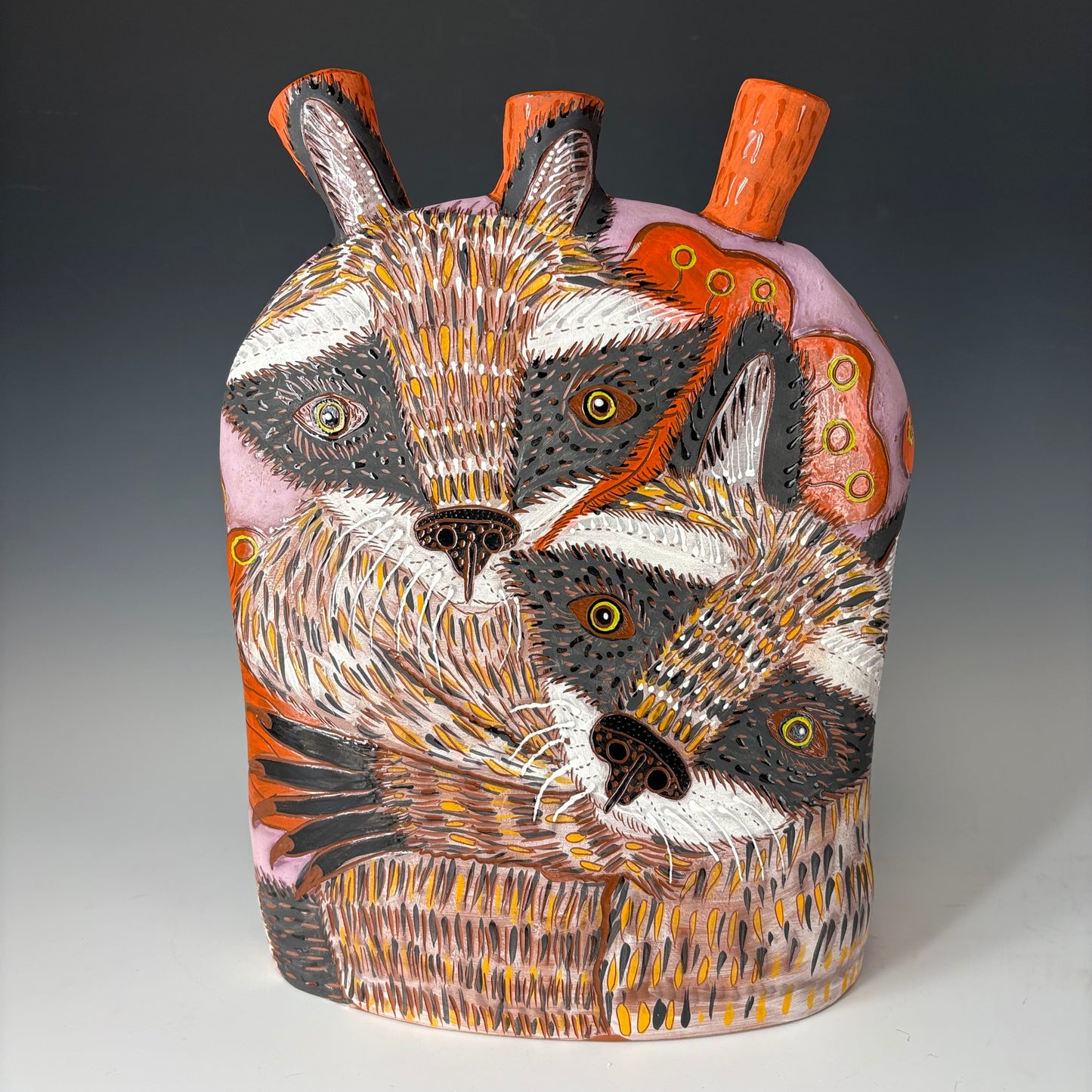 Raccoon vessel
