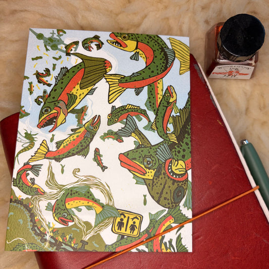 Rainbow Trout Card 3 pack