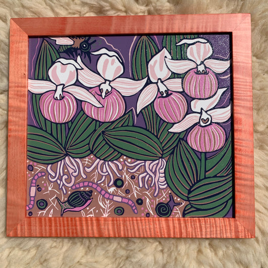 Slipper Orchid framed in pink