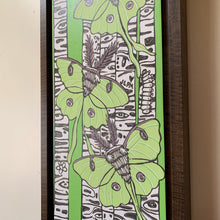 Load image into Gallery viewer, Pre-order Luna moth and birch tree woodcut framed in black curly maple
