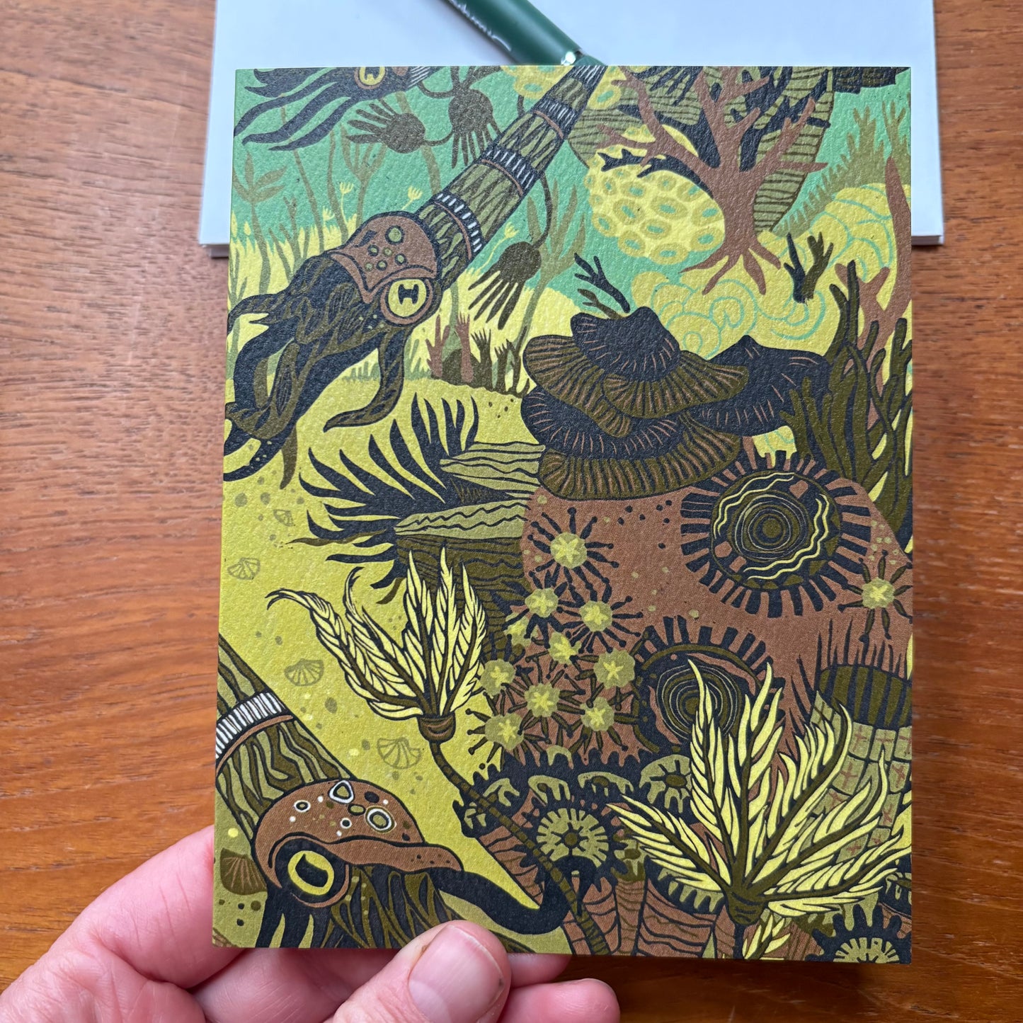 Devonian Reef Card 3 pack