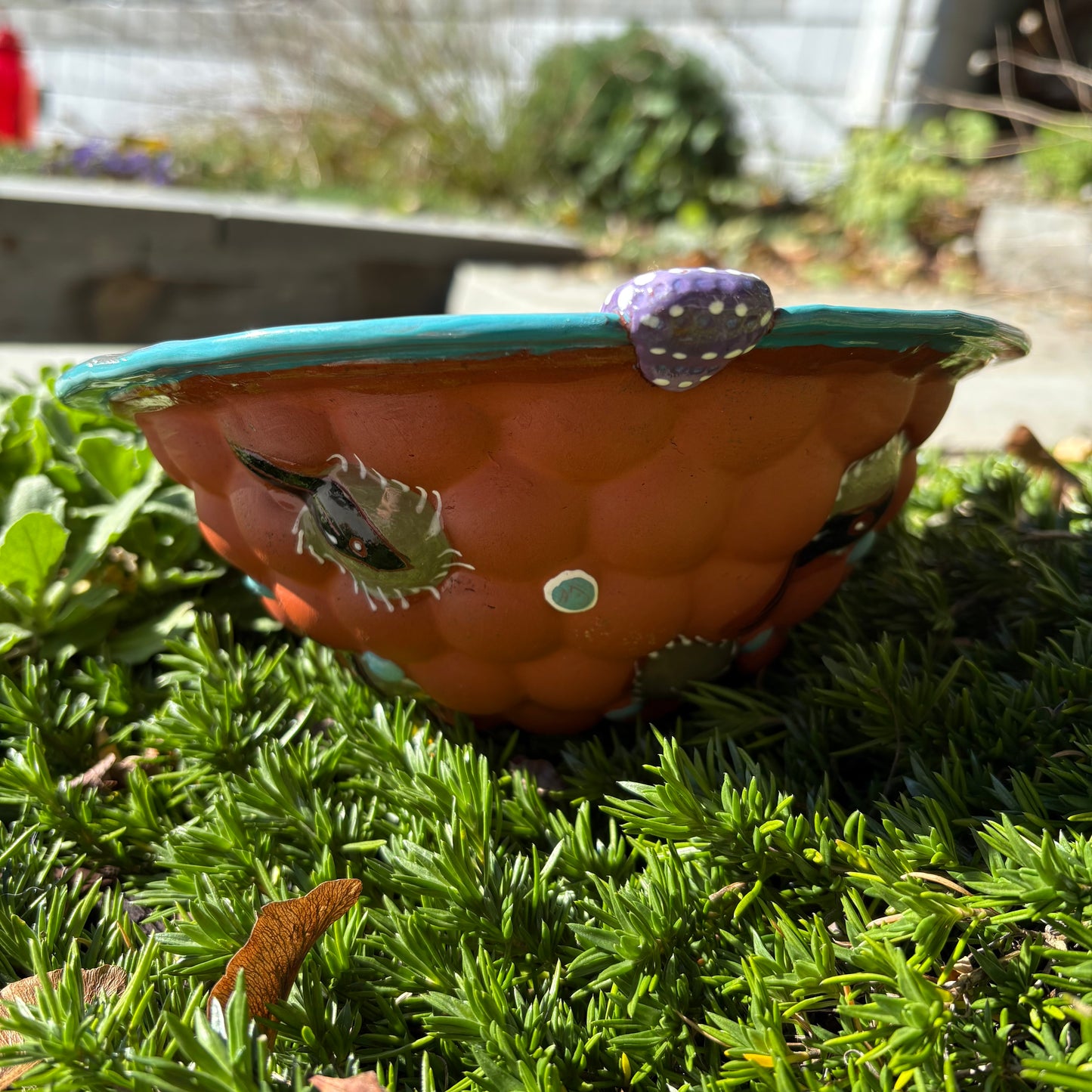 Cedar waxwing serving bowl