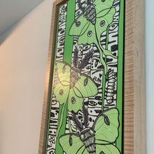 Load image into Gallery viewer, Luna moth and birch tree woodcut framed in natural curly maple
