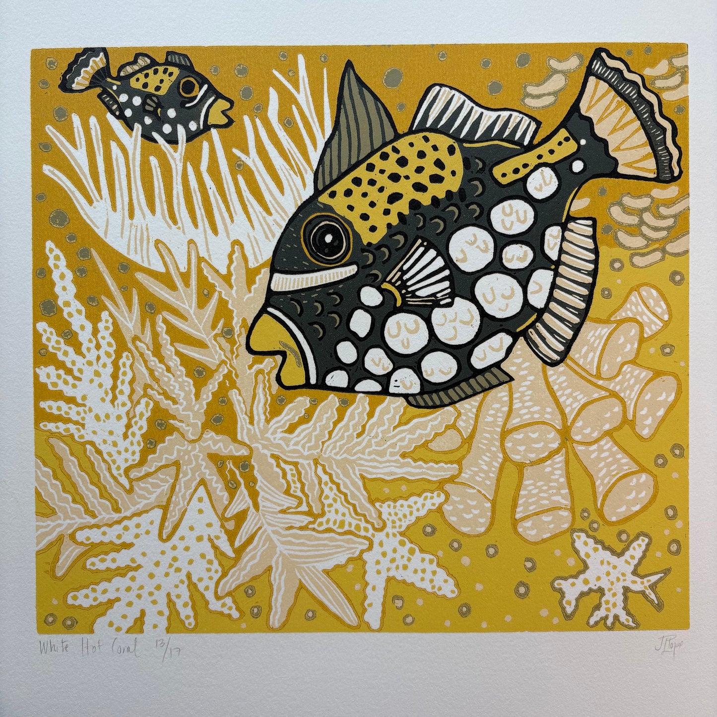 Clown Triggerfish Woodcut