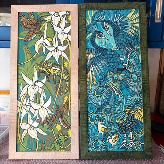 Peacock or Darwin’s orchid  woodcut framed in curly maple