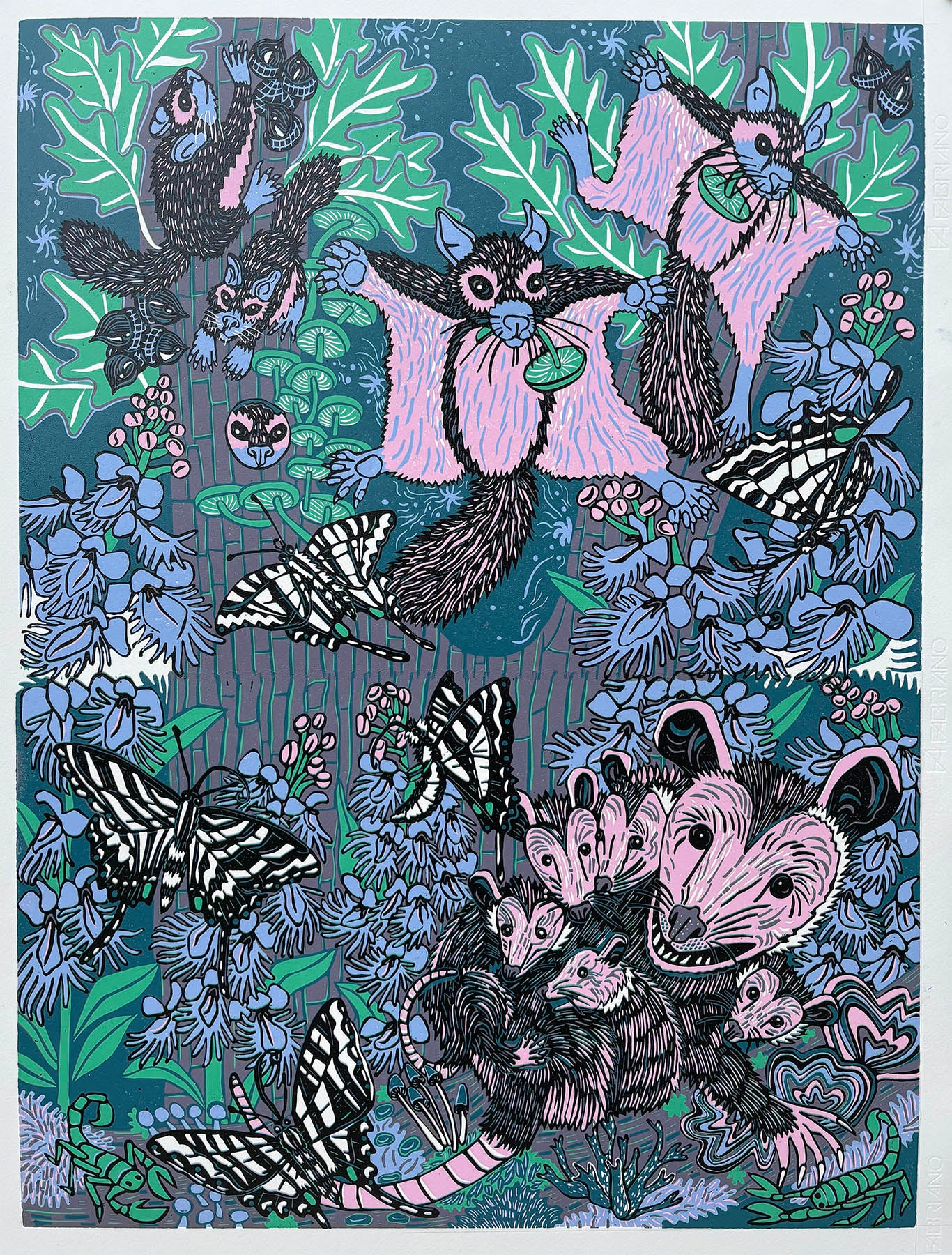 Opossum, flying squirrel orchid and swallowtail under UV light Woodcut