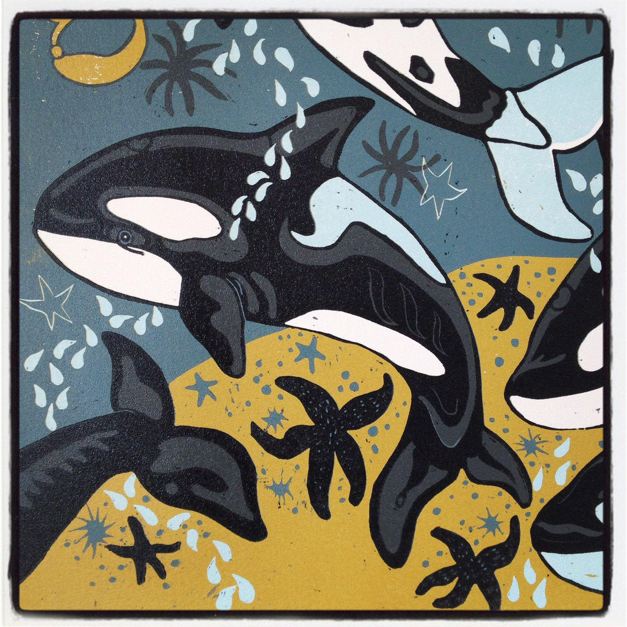 Orca Woodcut LAST ONE