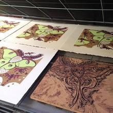 Load image into Gallery viewer, LAST ONE Luna Moth and Bat Woodcut (sm)
