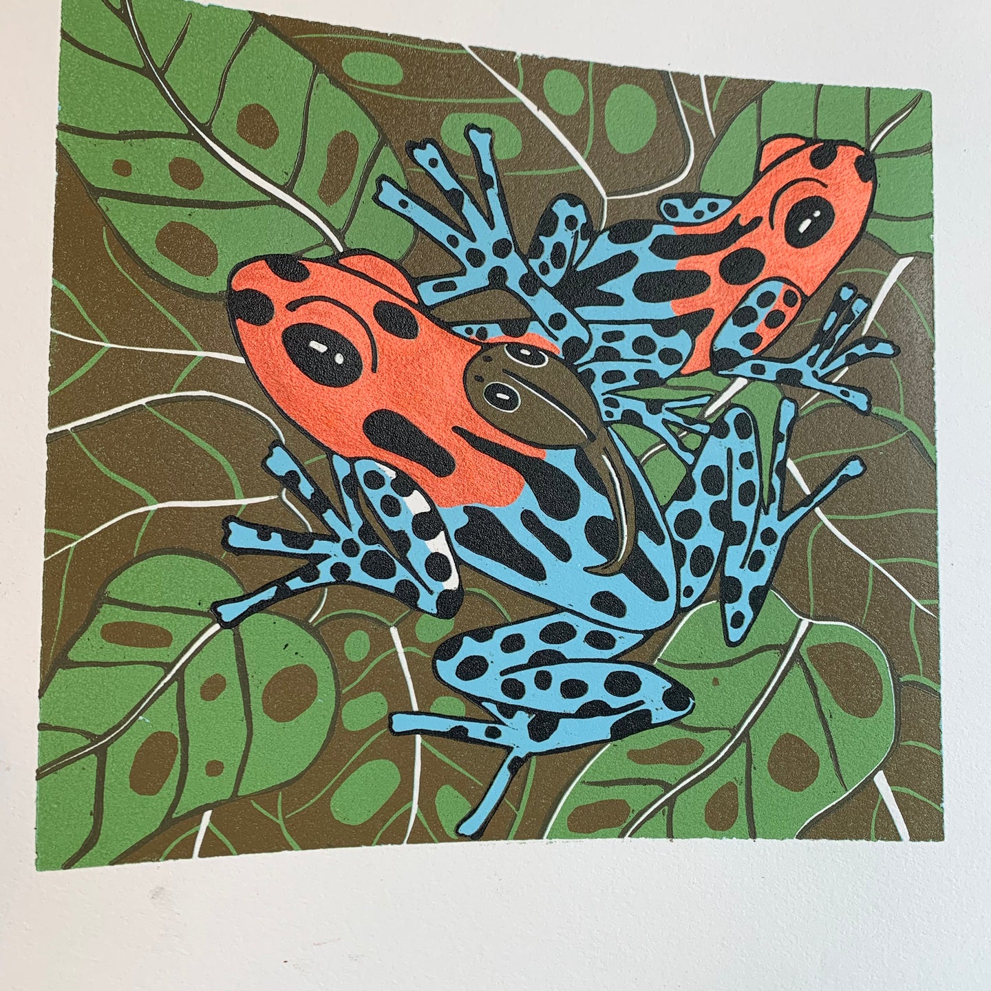 Imitator Veradero woodcut