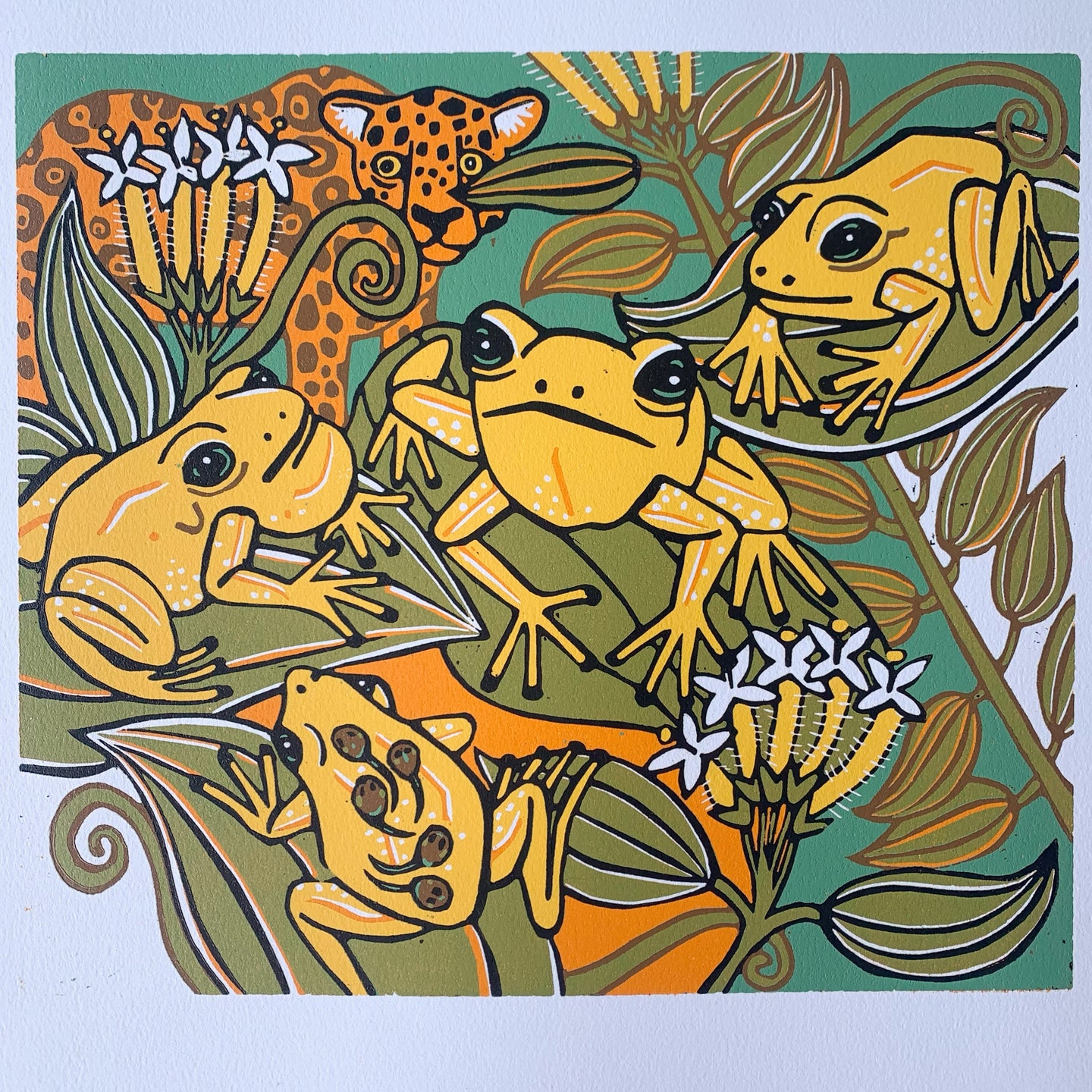 Phyllobates terribilis dart frog woodcut