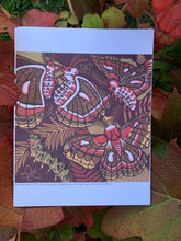 Load image into Gallery viewer, 8.5x11” reproduction of Big Silk Moth
