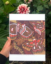 Load image into Gallery viewer, 8.5x11” reproduction of Big Silk Moth
