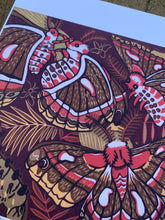 Load image into Gallery viewer, 8.5x11” reproduction of Big Silk Moth
