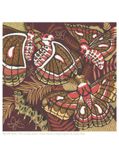 Load image into Gallery viewer, 8.5x11” reproduction of Big Silk Moth
