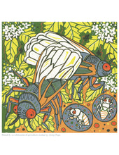 Load image into Gallery viewer, 8.5x11” reproduction of Brood X
